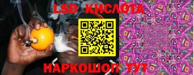 тгк Новодвинск