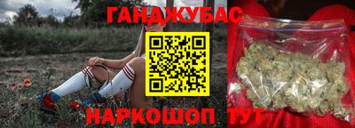 тгк Новодвинск