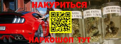тгк Новодвинск