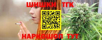 тгк Новодвинск