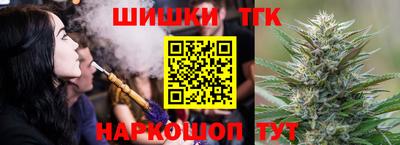 тгк Новодвинск