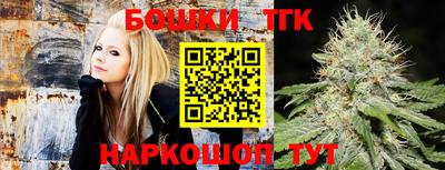 тгк Новодвинск