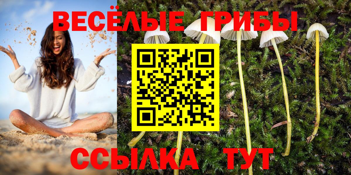 Галлюциногенные грибы Magic Shrooms Сунжа