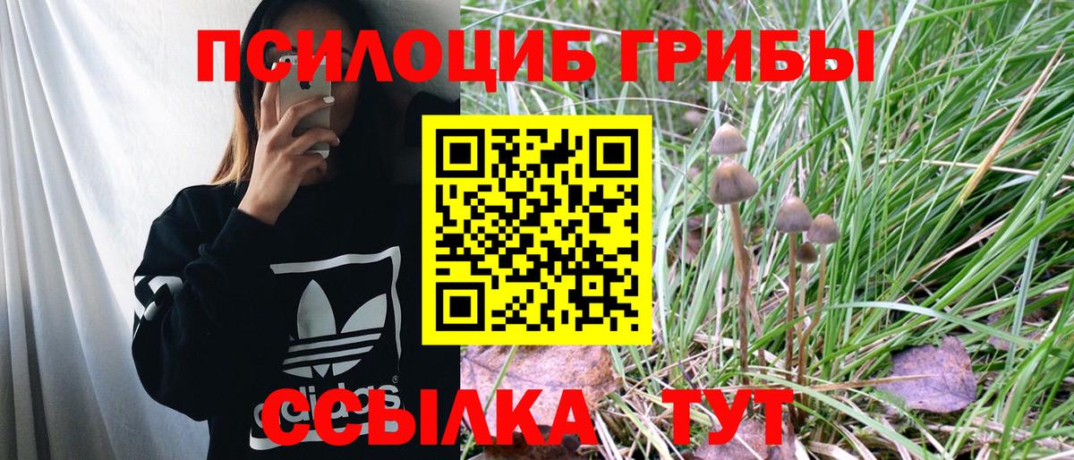 Сунжа  Псилоцибиновые грибы мухоморы  Галлюциногенные грибы Cubensis  Вход с VPN 