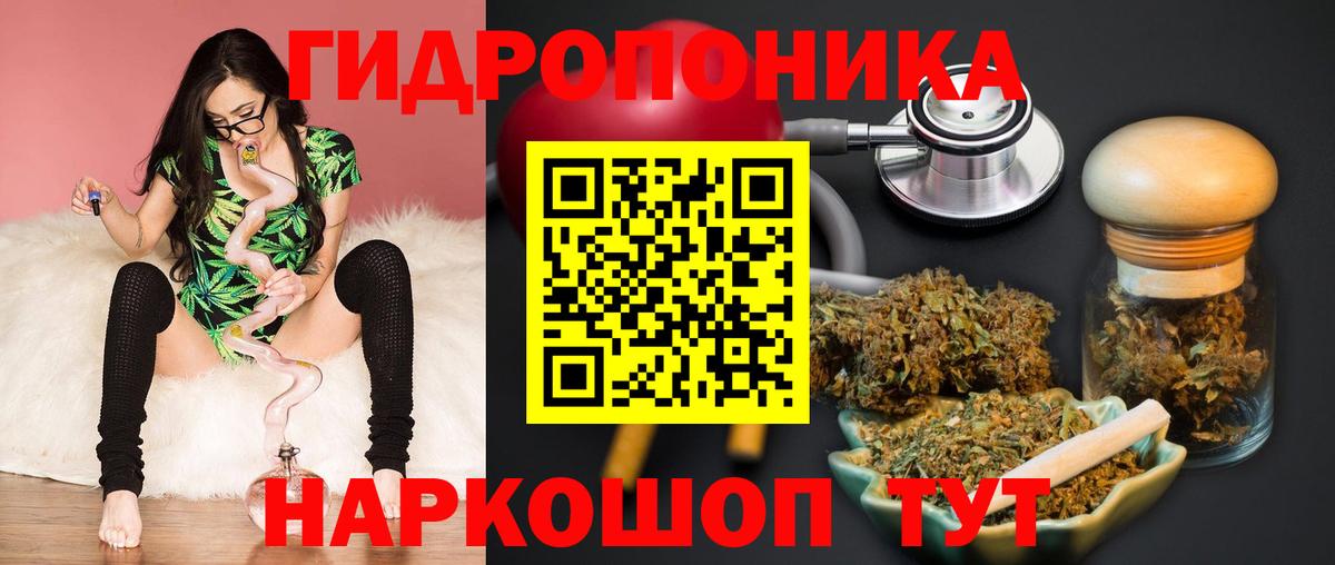 Бошки марихуана индика  Шишки марихуана план  Вход с VPN  Сунжа  Канабис MAZAR 